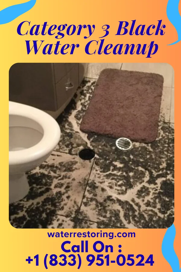 Category 3 Black Water Cleanup in Maurice, IA