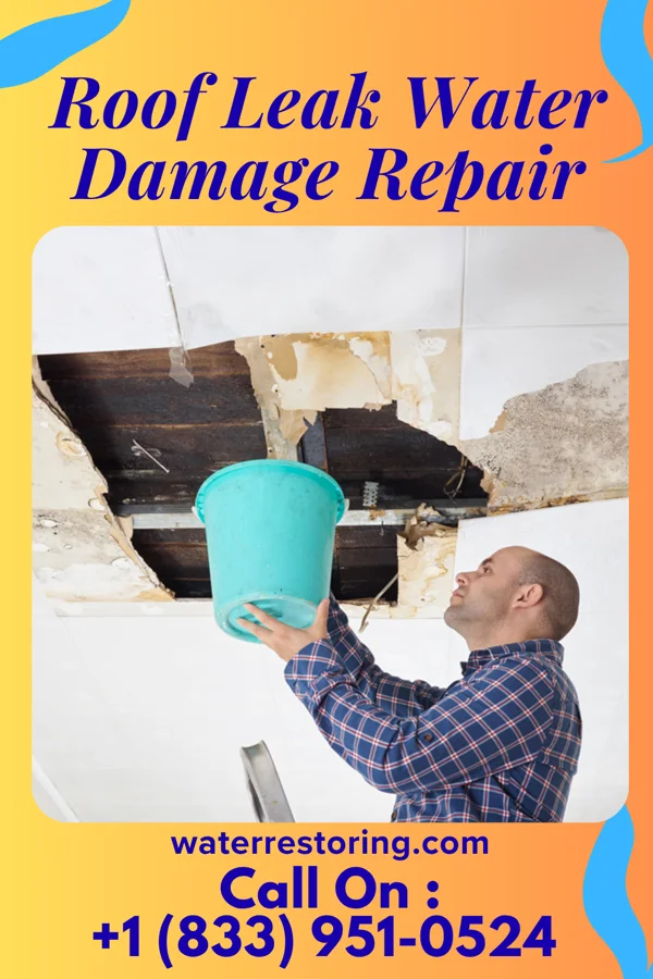 Roof Leak Water Damage Repair in Maurice, IA